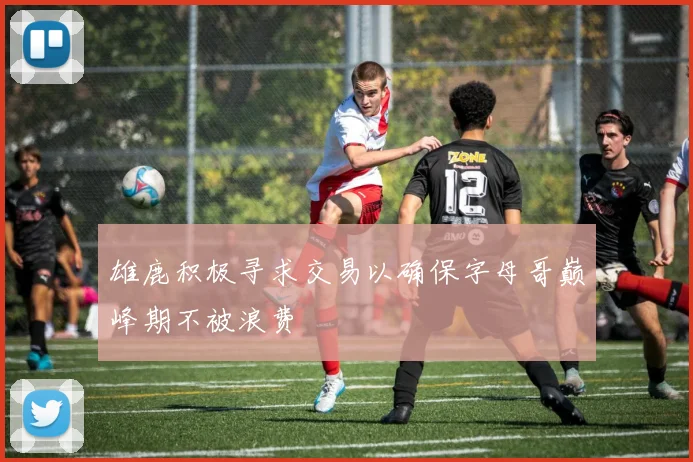 雄鹿积极寻求交易以确保字母哥巅峰期不被浪费